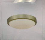 Golden Lighting Gabi Flush Mount Brushed Champagne Bronze With Opal Glass. Fixed Price $40.00.