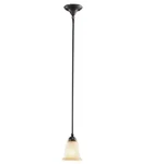 Commercial Electric Rustic Iron 1-LIGHT Mini-pendant. Fixed Price $29.99.
