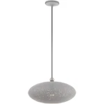 Livex Lighting 49102-80 Dublin Pendant Nordic Gray With Brushed Nickel Accents. Fixed Price $299.96.
