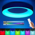 Rgb Led Flush Mount Ceiling Light With Remote Control, 11 Inch 24W Black Ceil.... Fixed Price $52.14.