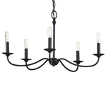 Progress Lighting Pacolet 5-LIGHT Textured Black Chandelier. Fixed Price $95.99.