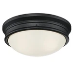 Westinghouse 6370600 Meadowbrook 2 Light 13"W Led Flush Mount - Black. Fixed Price $60.99.