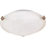 Nuvo Light 16" Flush Mount Tri-clip W/ Alabaster Glass 60-271. Fixed Price $79.99.