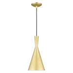 Livex Lighting 41185-33 Waldorf Pendant Soft Gold & Polished Brass Accents. Fixed Price $49.99.