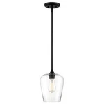 Savoy House 7-4036-1-BK Incandescent Lighting. Fixed Price $5.73.