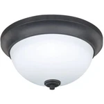 (1)-HOME Impressions 13" Oil-rubbed Bronze Flush Mount Light. FLIFM256A13ORB. Fixed Price $51.46.