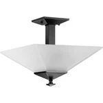 Progress Lighting P350107 Clifton Heights 12-3/4"W Black. Fixed Price $103.99.
