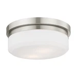 Livex Lighting 7391 11"W Flush Mount Ceiling Fixture / Wall - Nickel. Fixed Price $137.96.