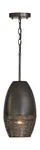 Capital Lighting 335111GI Sana Hand-wound Steel Wire With Brass Speckling Met.... Fixed Price $286.15.