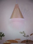 Zjvaive 1-LIGHT Spray Gold Modern Industrial Metal Cone Shade Hanging Pendant. Fixed Price $37.95.