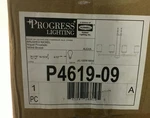 Progress Lighting P4619-09 Alexa 4-LIGHT Brushed Nickel Chandelier New. Fixed Price $189.99.