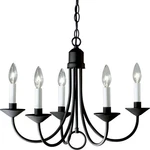 Progress Lighting P4008 Black Five 5-LIGHT 21"W Taper Candle Chandelier. Fixed Price $153.68.