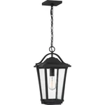Darius - 1 Light Outdoor Hanging Lantern Made With Coastal Armour. Fixed Price $329.99.
