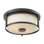 Z-lite Savannah 2 Light Flush Mount, 11X5", Olde Bronze, Matte Opal 413F11. Fixed Price $74.99.