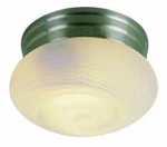 Trans Globe Lighting 3619 Down Flush Mount Ceiling Fixture. Fixed Price $13.95.
