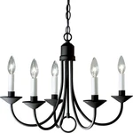 Progress Lighting Five-light White Candles Traditional Chandelier Light, P4008-3. Fixed Price $166.93.