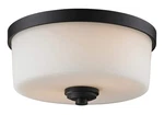 Z-lite 220F2 Light Flush Mount, Medium, Bronze. Fixed Price $174.53.