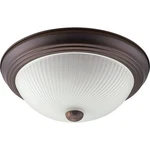Canarm 2BLB Orb Ceiling Fixture IFM21313 062345191072. Fixed Price $26.82.
