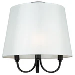 Artcraft Lighting SC13334 Rhythm 16"W Semi-flush Ceiling Black. Fixed Price $313.90.