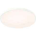Dals Lighting TLFM21-CC-WH Fusion Inch White Flushmount Ceiling. Fixed Price $207.18.