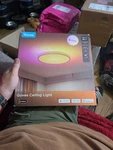 Govee Ceiling Light H60A1 White 12 Inch. Fixed Price $59.00.
