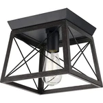 Progress Lighting Briarwood Collection 1-LIGHT Cerused Black Farmhouse Flush .... Fixed Price $59.57.