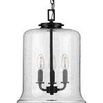 Progress P500239-031 Winslett Collection Three-light Clear Seeded Glass Pendant. Fixed Price $249.99.