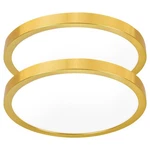 Hlite Dimmable 2PACK 12 Inch Gold Flush Mount Ceiling LIGHT,24W 2600LM Super .... Fixed Price $52.03.