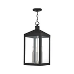 Livex Lighting 20587-04 Black Nyack 3 Outdoor Pendant Lantern, 24.00X10.... Fixed Price $525.86.