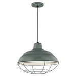 Millennium Lighting RWHC17-SG Pendants Indoor. Fixed Price $39.95.