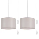 Ihengyanlt 2 Pack Plug Pendant Light, Hanging With 15FT Clear Cord, .... Fixed Price $59.87.