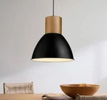 Elyona Pendant Dome Light. Fixed Price $40.00.