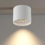 Ceiling Fixture, Flush Mount Lights Led Dimmable Cylinder. Fixed Price $50.99.