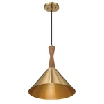 Axel Mid-century Modern Metal And Natural Stained Wood Ceiling Light, Brush.... Fixed Price $125.89.