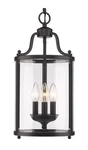 Golden Lighting Pendant Chandelier Payton Black 1157-3P Blk. Fixed Price $197.99.