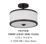 Sunset 3-LIGHT 100W Mb Payton Semi-flush Mount F21008-64. Fixed Price $37.89.