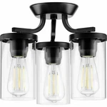 Progress Lighting Lassiter Black 3-LIGHT Semi-flush Mount 13" Clear P350149-031. Fixed Price $99.00.