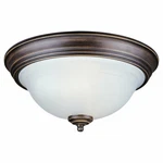 Sea Gull Canterbury Collection One Light Ceiling Flush Mount 79050BLE-. Fixed Price $16.20.