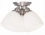 Livex Lighting 13664-91 Somerville 3-LIGHT Ceiling Mount, Brushed Nickel, White. Fixed Price $38.72.