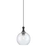 Innovations Lighting 415-1P-14-10 Astor Pendant 10"W Black. Fixed Price $292.60.
