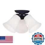 Livex Lighting 6462-04 Ridgedale 3-LIGHT Flush Mount Ceiling Black. Fixed Price $132.01.