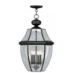 Livex Lighting Monterey Outdoor Chain Hang Black. Fixed Price $815.96.