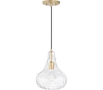 Austin Allen AA1004SF Pendant 1-LIGHT Total Watts, Soft Gold. Fixed Price $77.79.