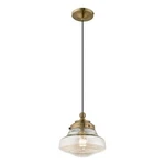 Livex Lighting Avondale 1-LIGHT Metal & Glass Single Pendant Antique Brass. Fixed Price $101.99.
