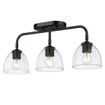 Golden Lighting 6958-3SF Clr Roxie 25"W Semi-flush Black. Fixed Price $219.99.