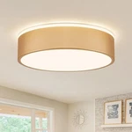 Vikaey Gold Led Ceiling Light, Modern Flush Mount Fixture, Mini.... Fixed Price $29.05.