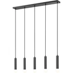 Z-lite 1956P-5L-MB Stari Linear Chandelier Ceiling Light Matte Black. Fixed Price $650.00.