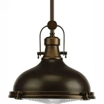 Progress Lighting Fresnel Lens Collection 1-LIGHT Oil Rubbed Bronze Integrated. Fixed Price $149.99.