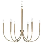 Capital Lighting 445961AD - Chandeliers Indoor. Fixed Price $229.00.