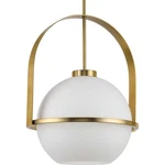 Progress Lighting P500359 Delayne 16"W Pendant - Bronze. Fixed Price $271.99.